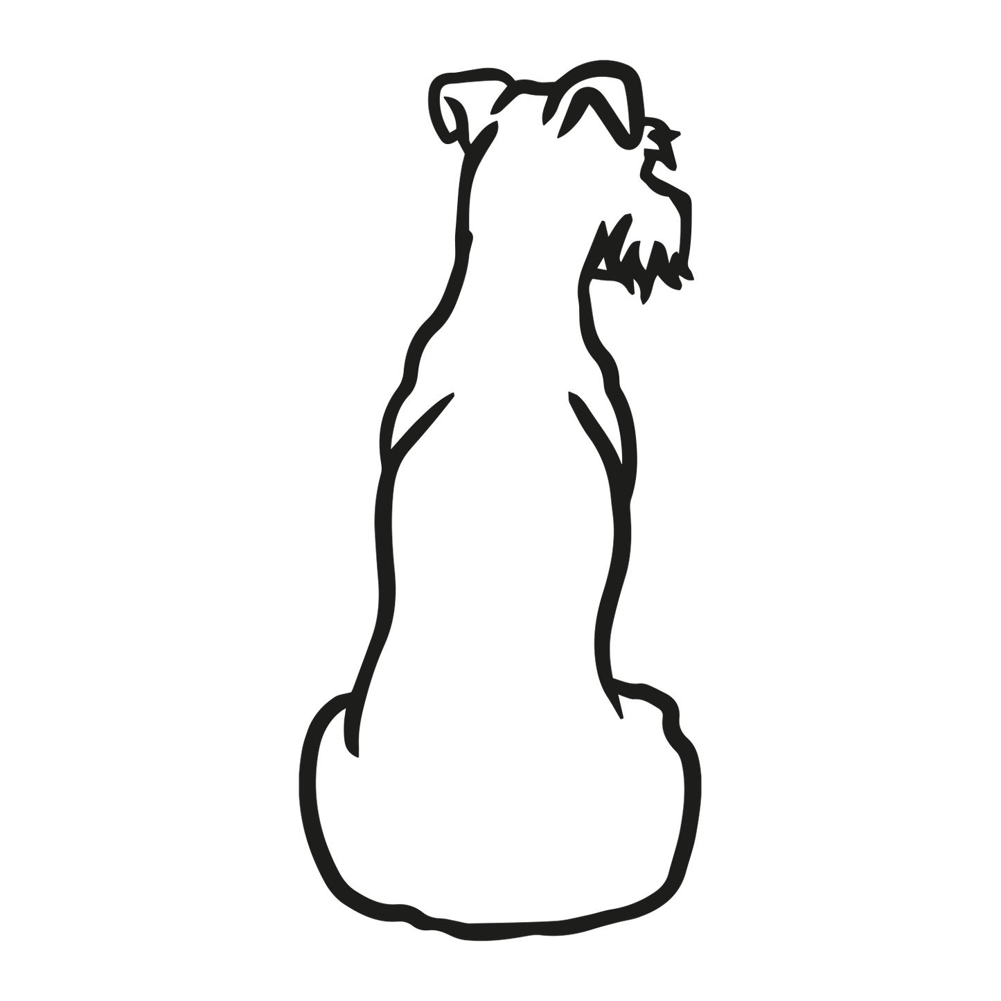 Irish Terrier