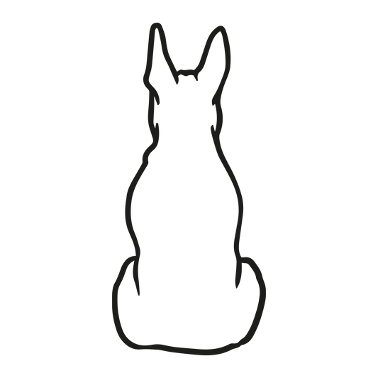 Bull Terrier
