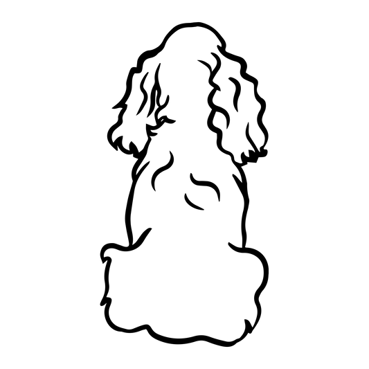 Cockerspaniel