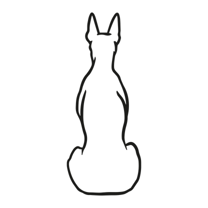 Dobermann