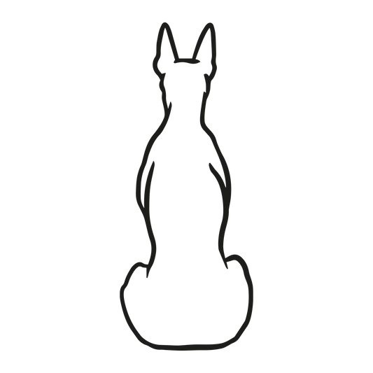 Dobermann