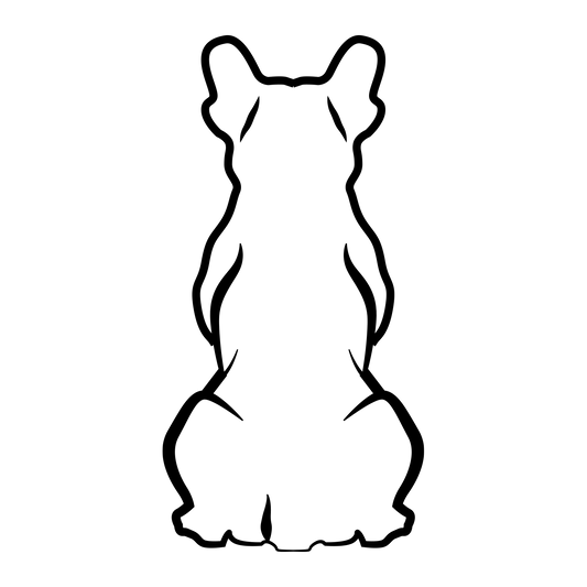 Französische Bulldogge