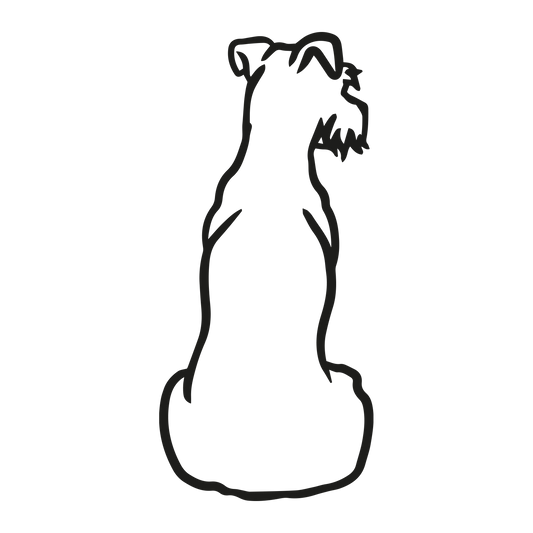 Irish Terrier