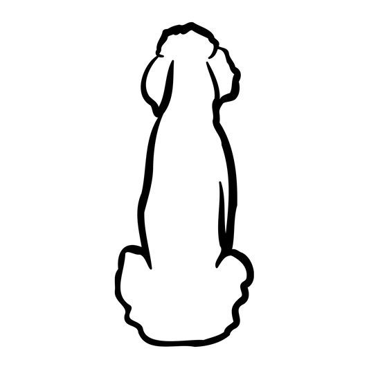 Pudel